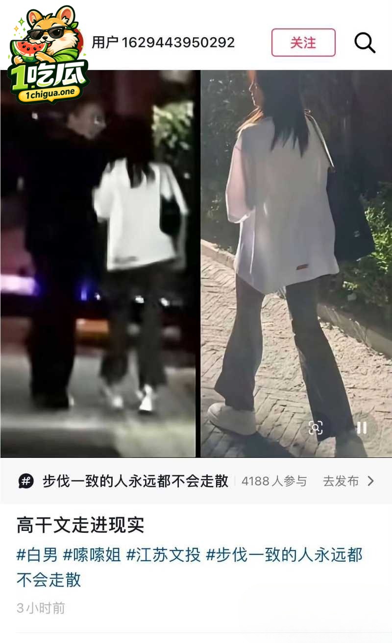 顶流女星 白鹿 与江苏文投董事长王洪俊 亲密街拍引爆网络 资源女王竟是大佬情人