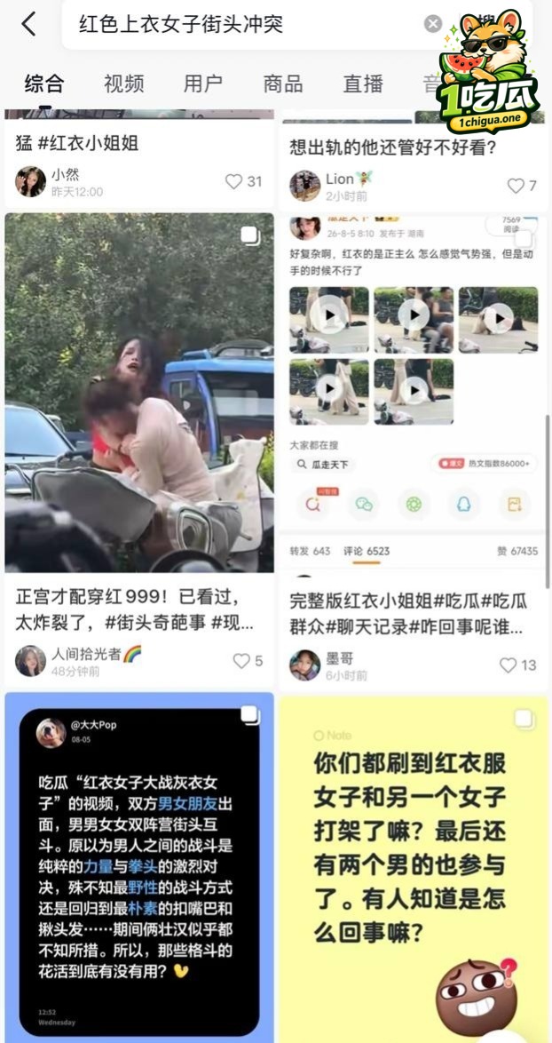 红衣上衣女子打小三完整视频爆出 由女女抓扯 变成男女四人双阵营群架