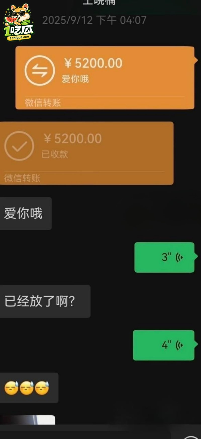麦小登与品牌方聊天记录