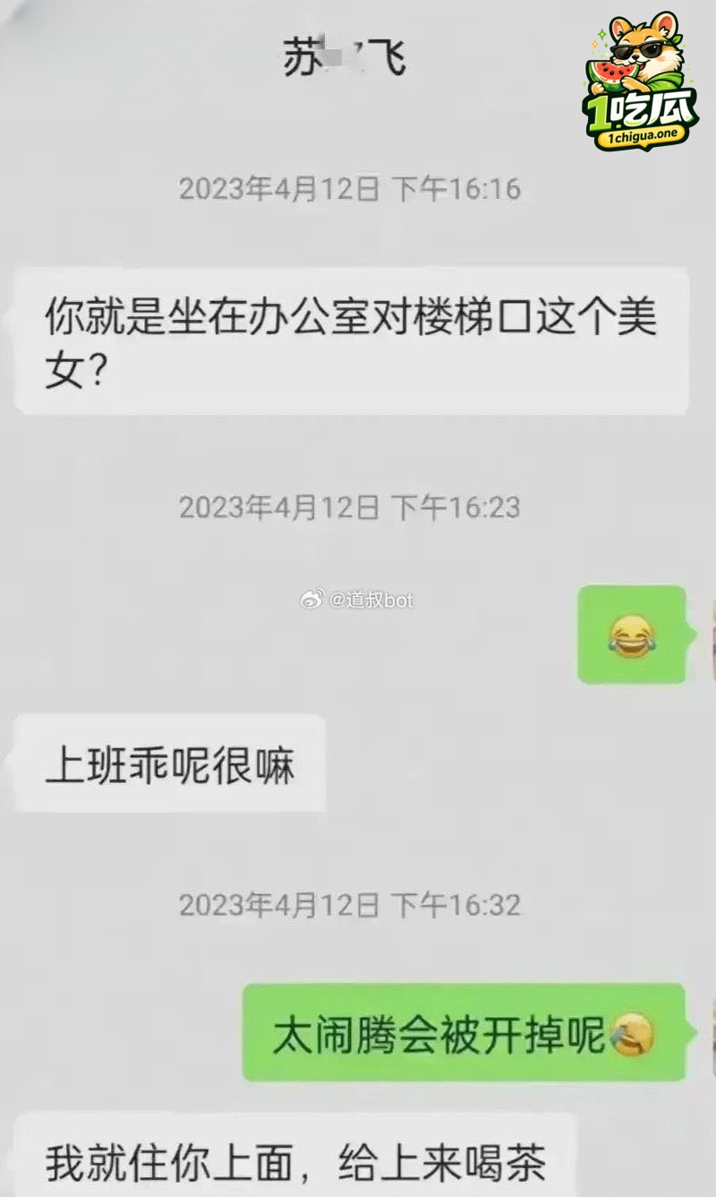 苏尔飞出轨女下属