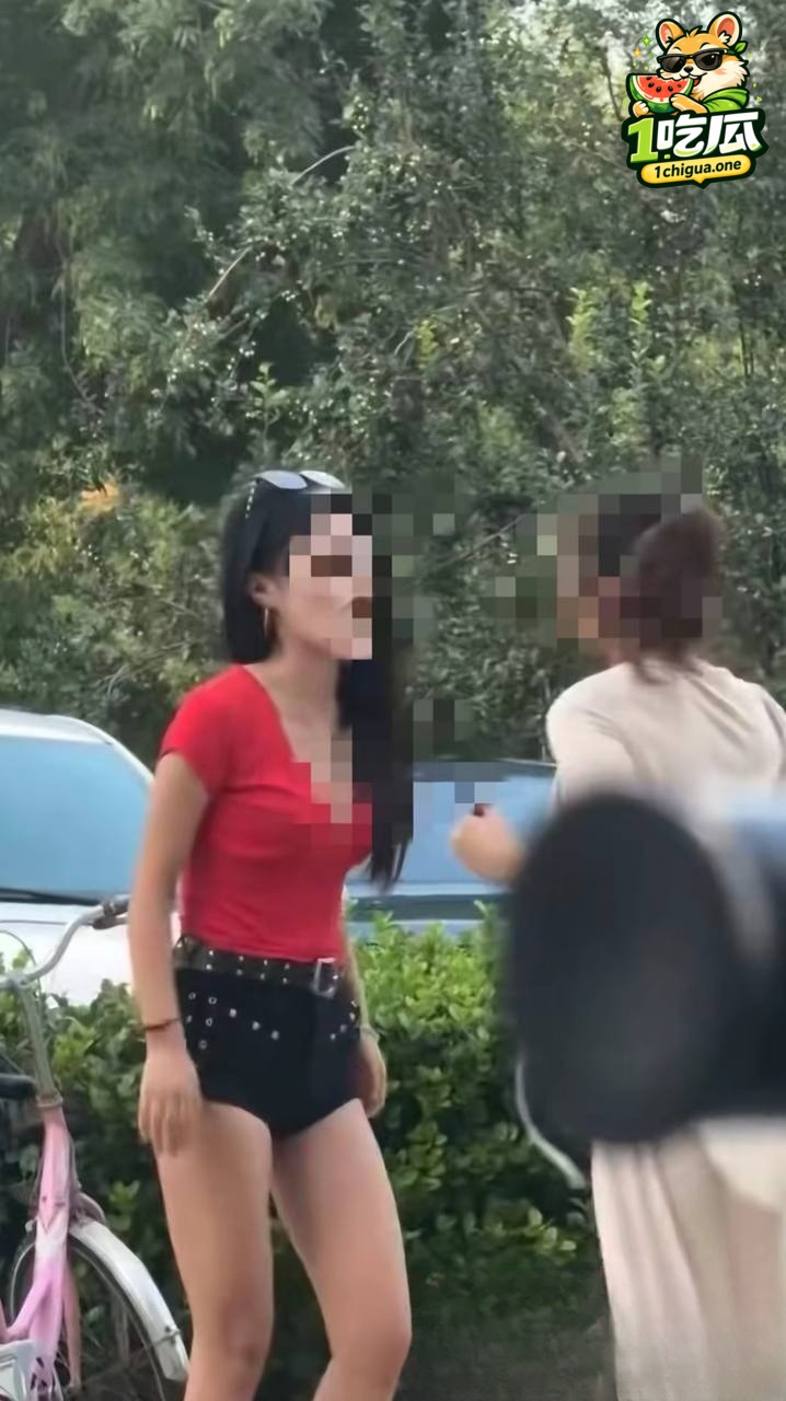街头吵架红衣女后续