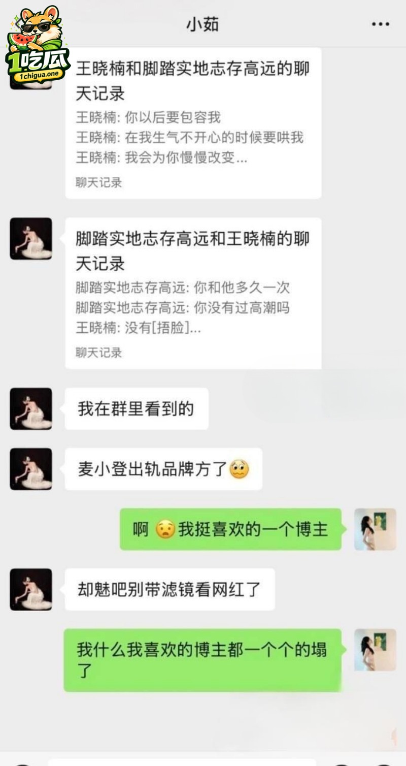 麦小登与品牌方聊天记录