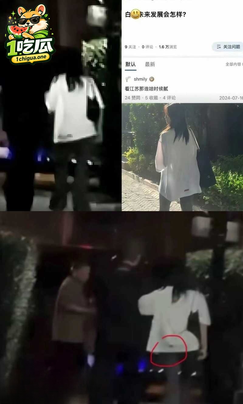 顶流女星 白鹿 与江苏文投董事长王洪俊 亲密街拍引爆网络 资源女王竟是大佬情人