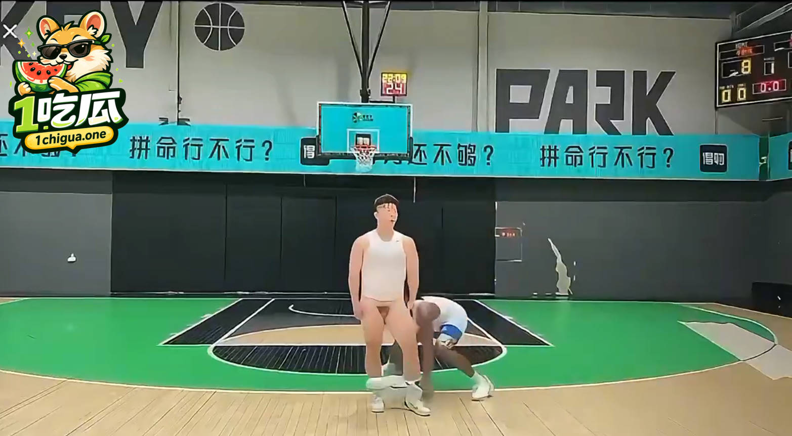 露鸟瞬间评论区笑喷
