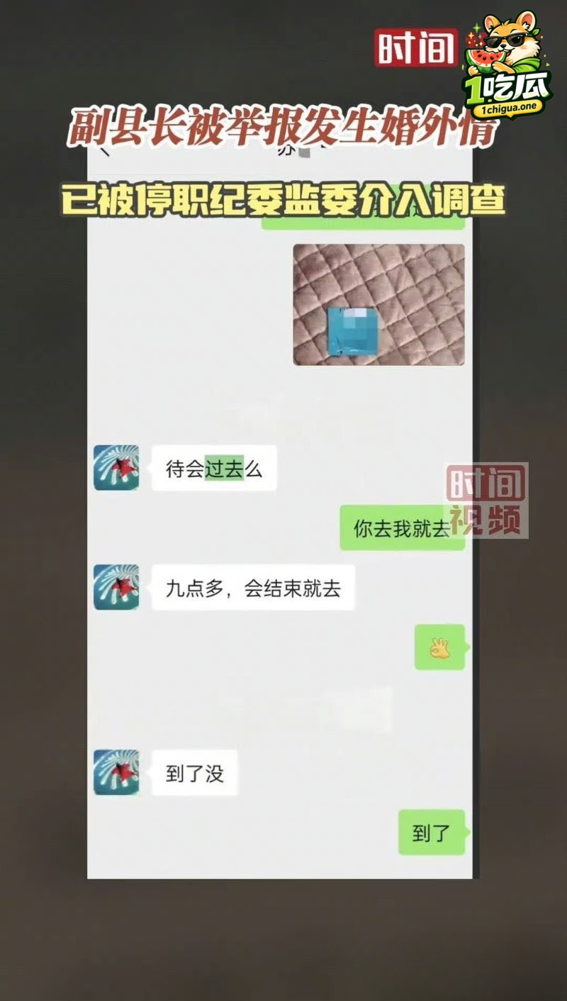苏尔飞出轨女下属