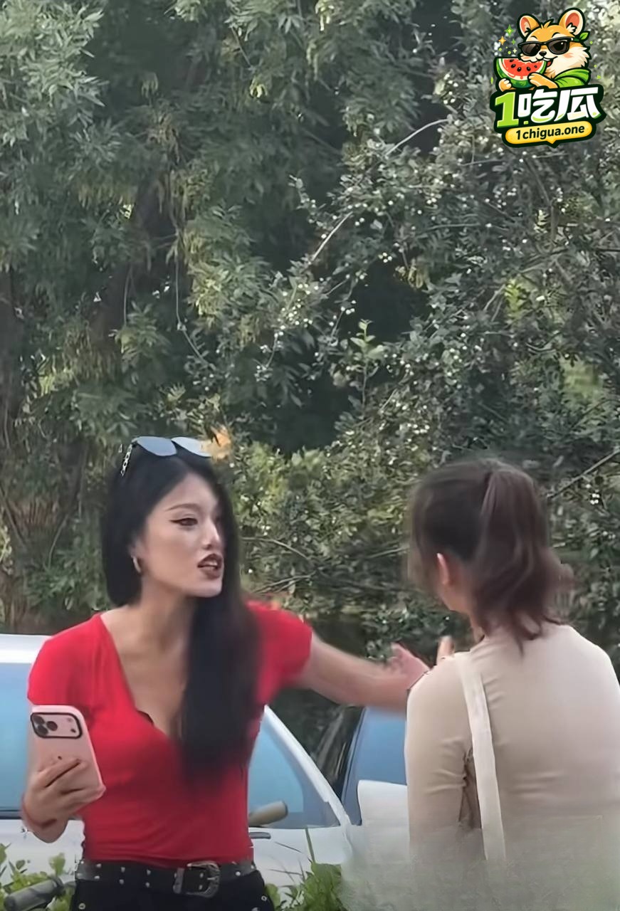 街头吵架红衣女后续