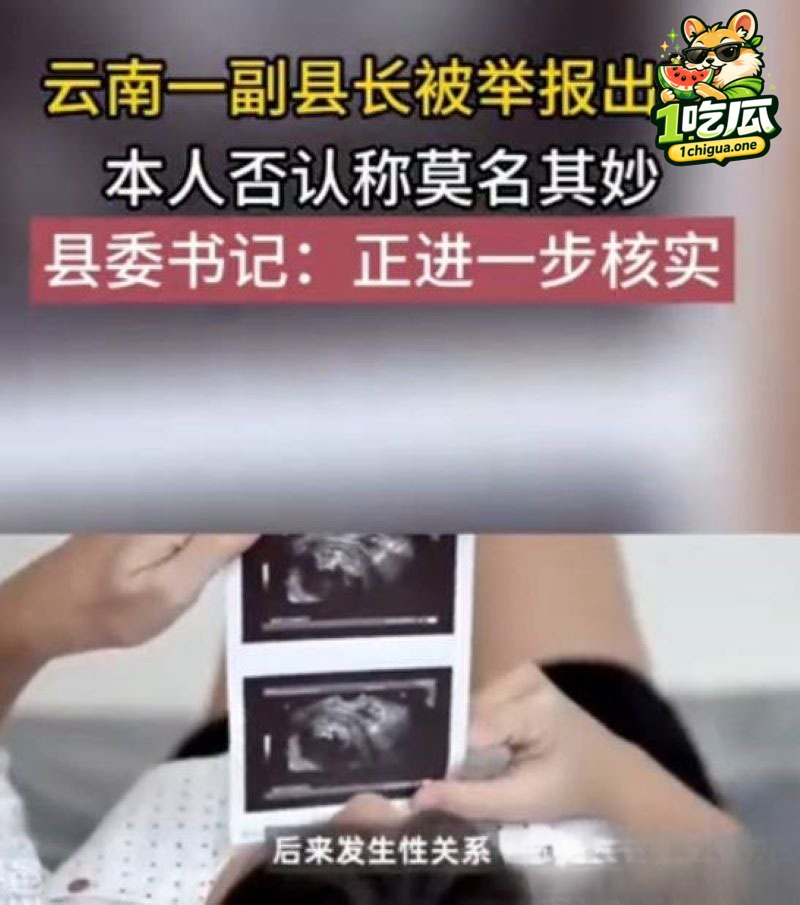 苏尔飞导致女下属怀孕