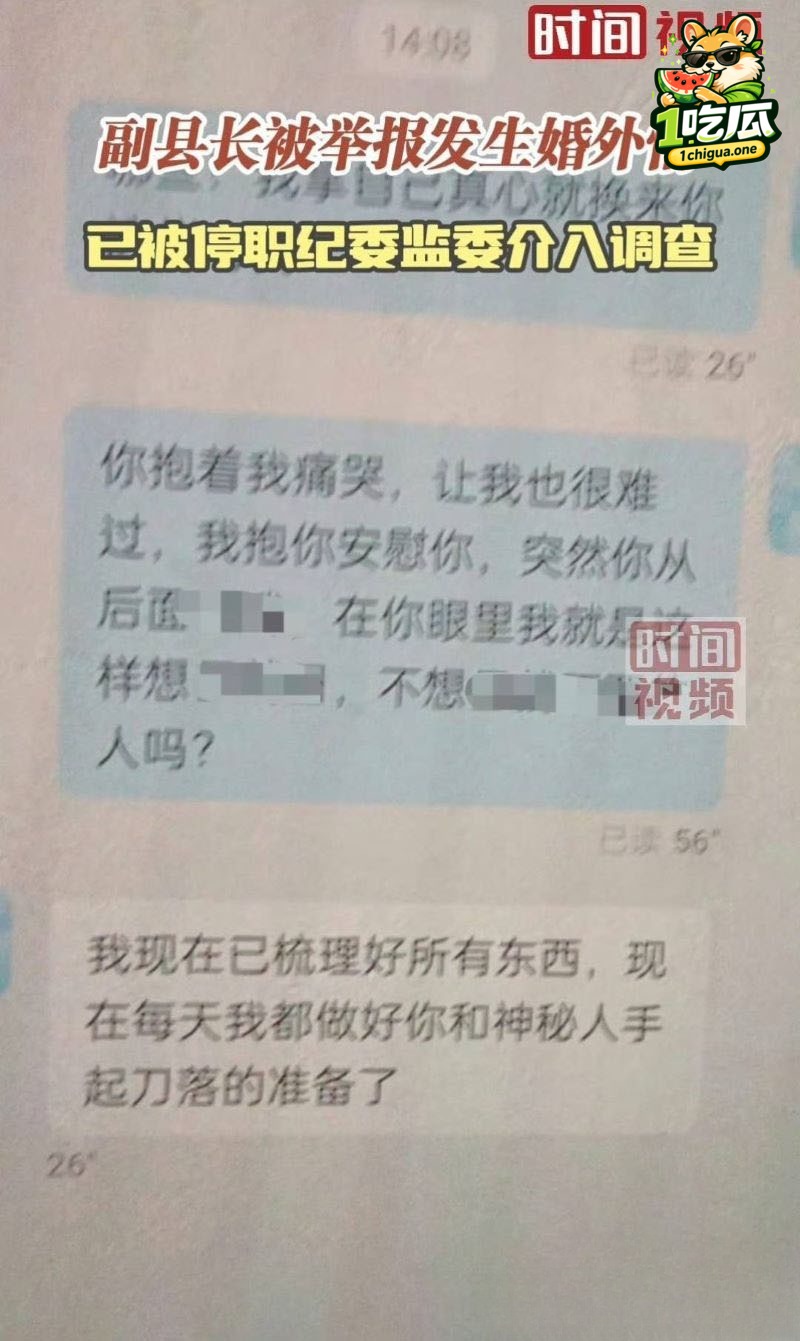 苏尔飞导致女下属怀孕