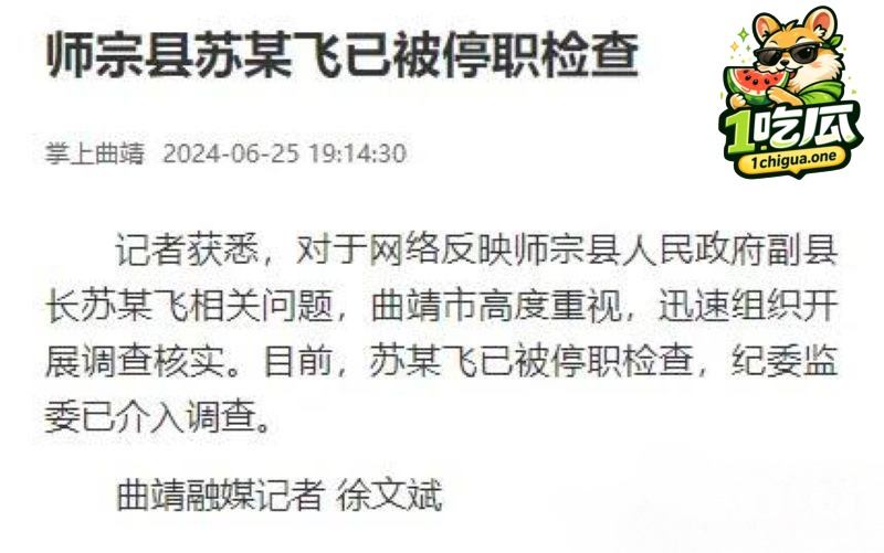 苏尔飞导致女下属怀孕