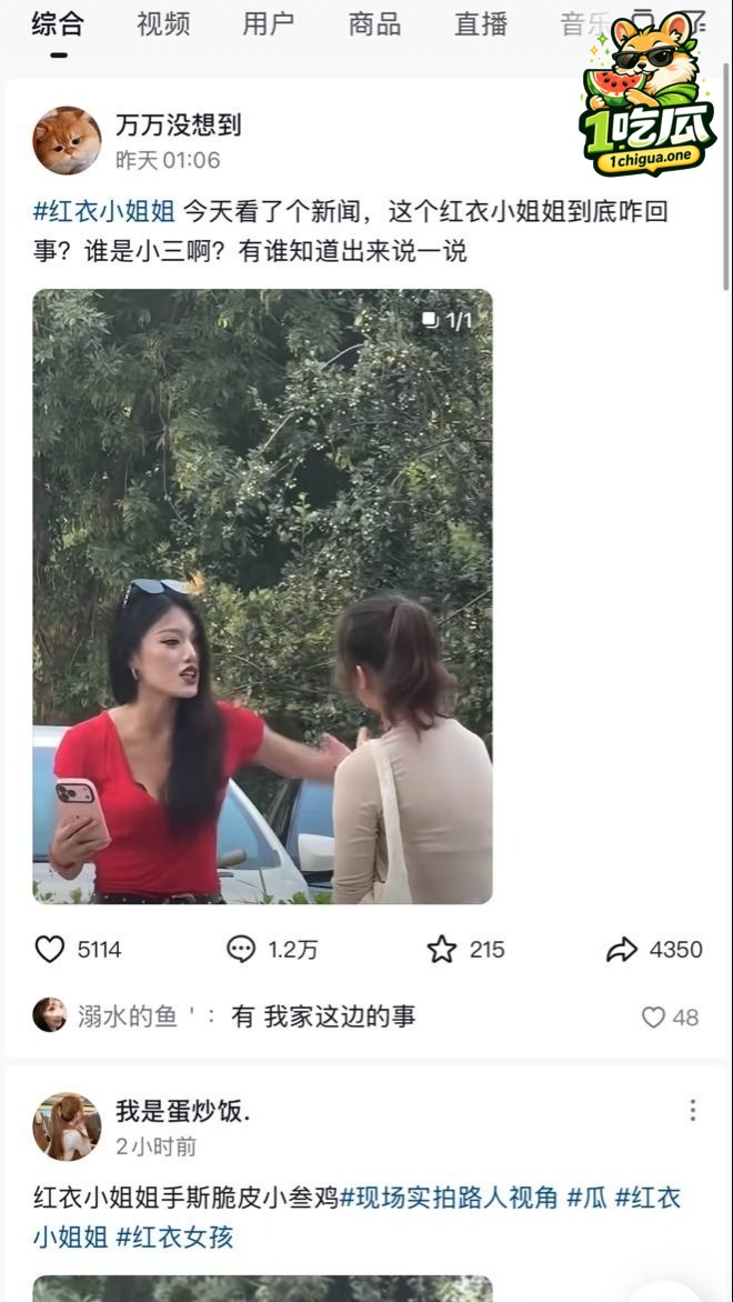 红衣上衣女子打小三完整视频爆出 由女女抓扯 变成男女四人双阵营群架