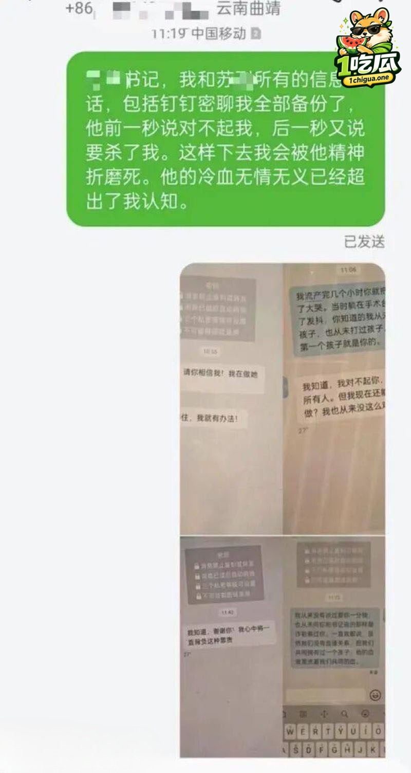 苏尔飞出轨女下属